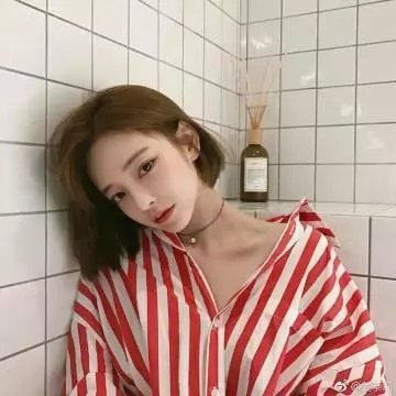 凤凰号